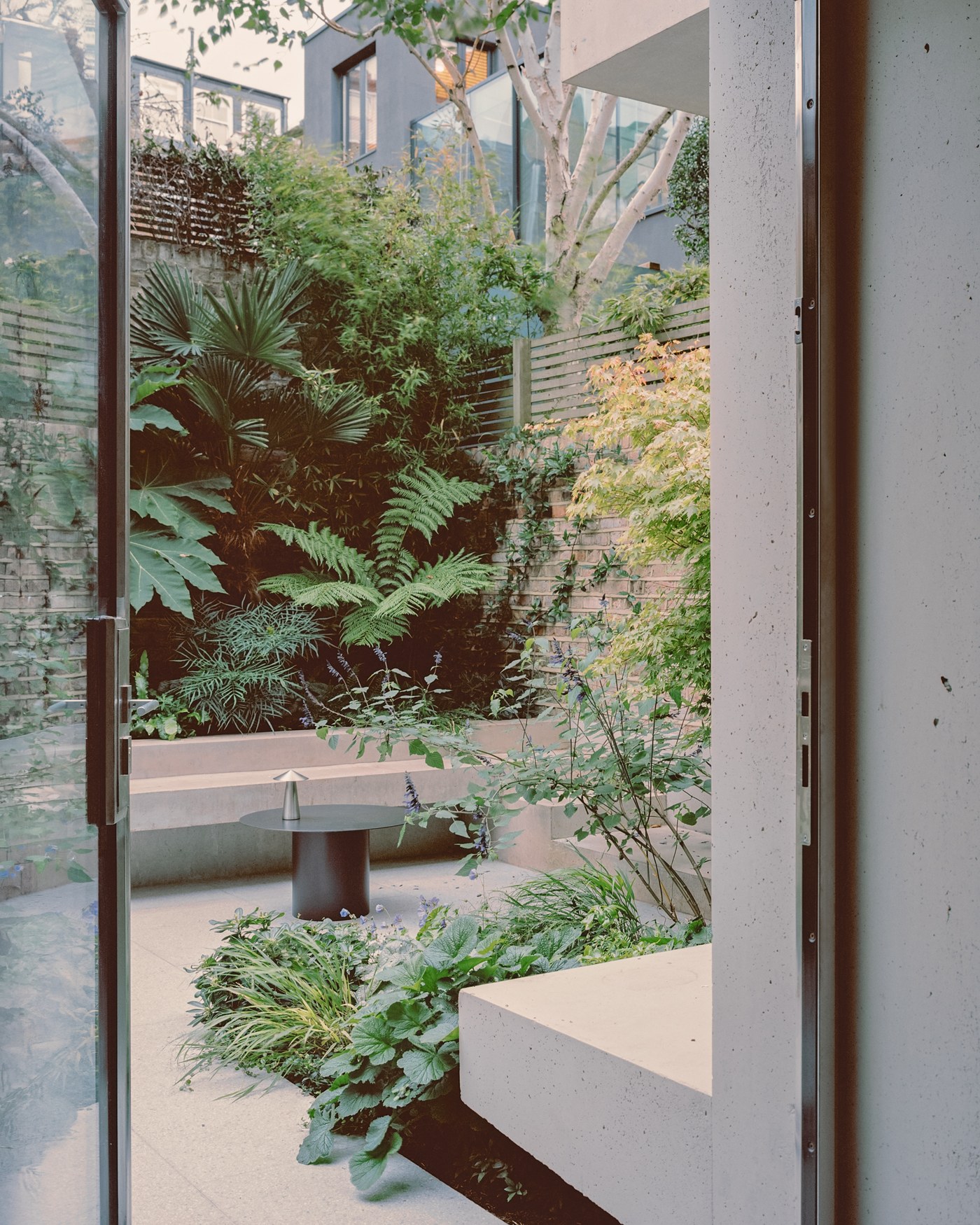 Caithness Road W14 — the planted courtyard garden seen through the open stainless-steel pivot door